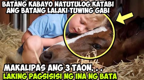 kinantot ng kabayo|Studyante Kinantot Habang Natutulog – Pinayplus.